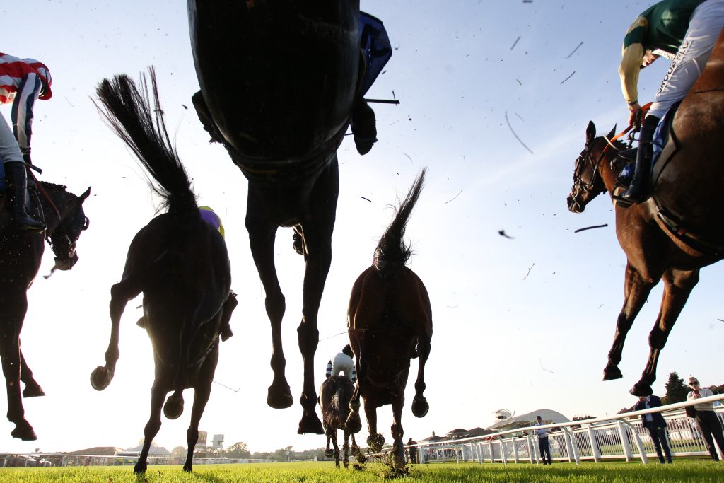 Skelton winds up to Saturday speed