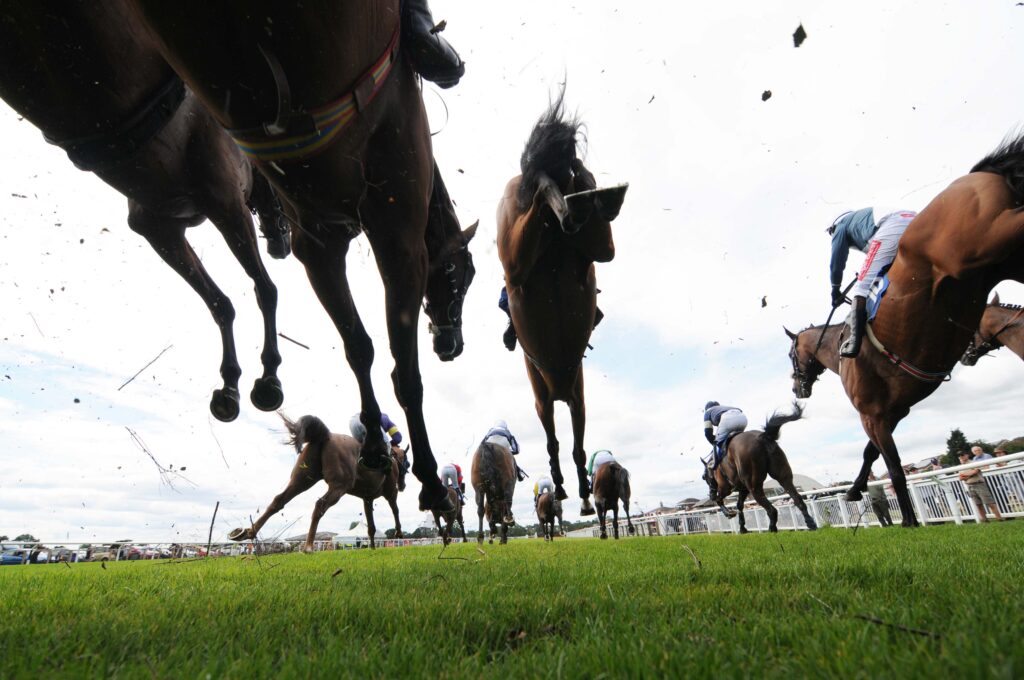 How to host the Greatest Show on Turf