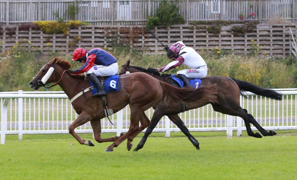 3 winners for Marlborough