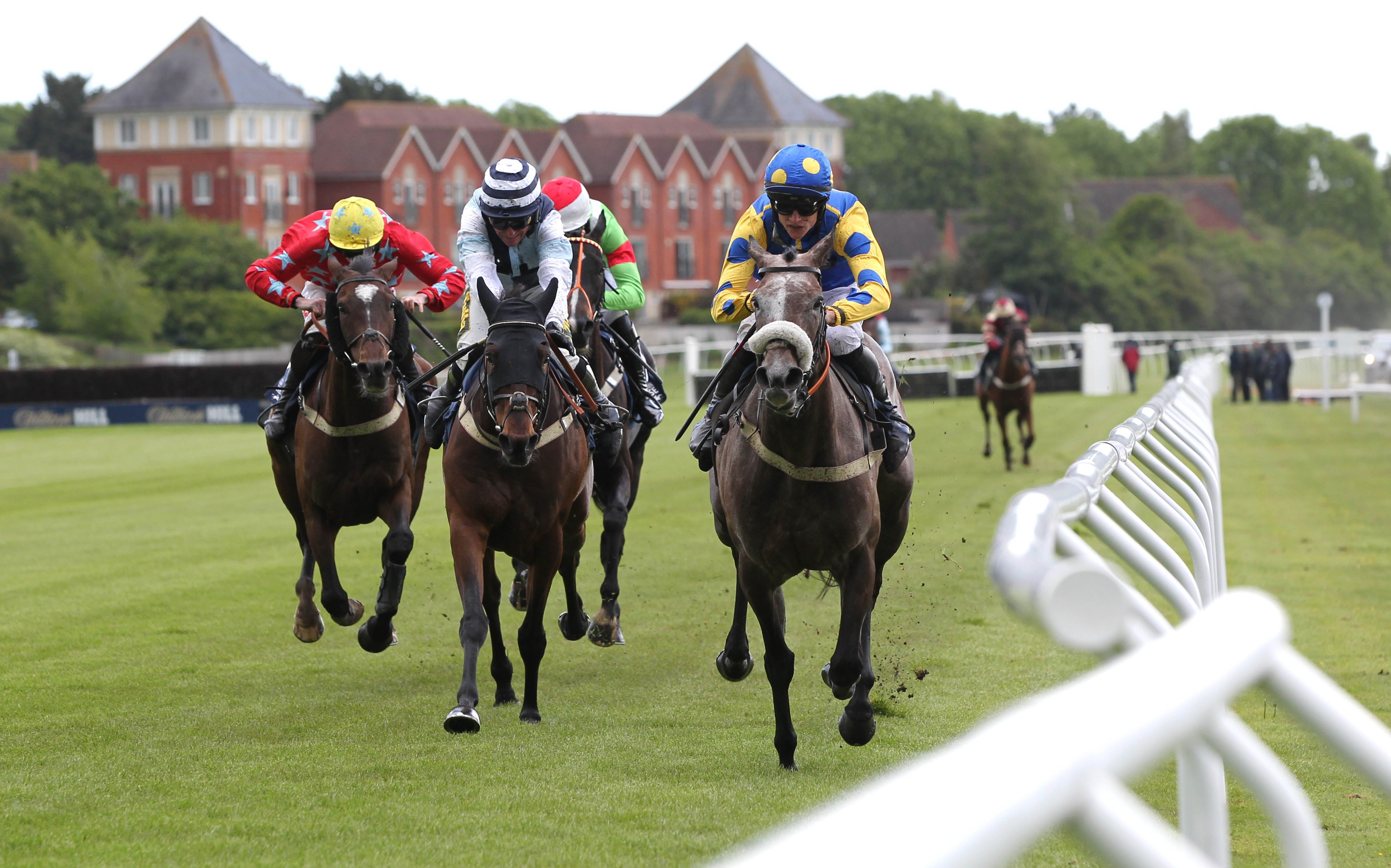 Prettylady confounds backers &copy; SDPhotos