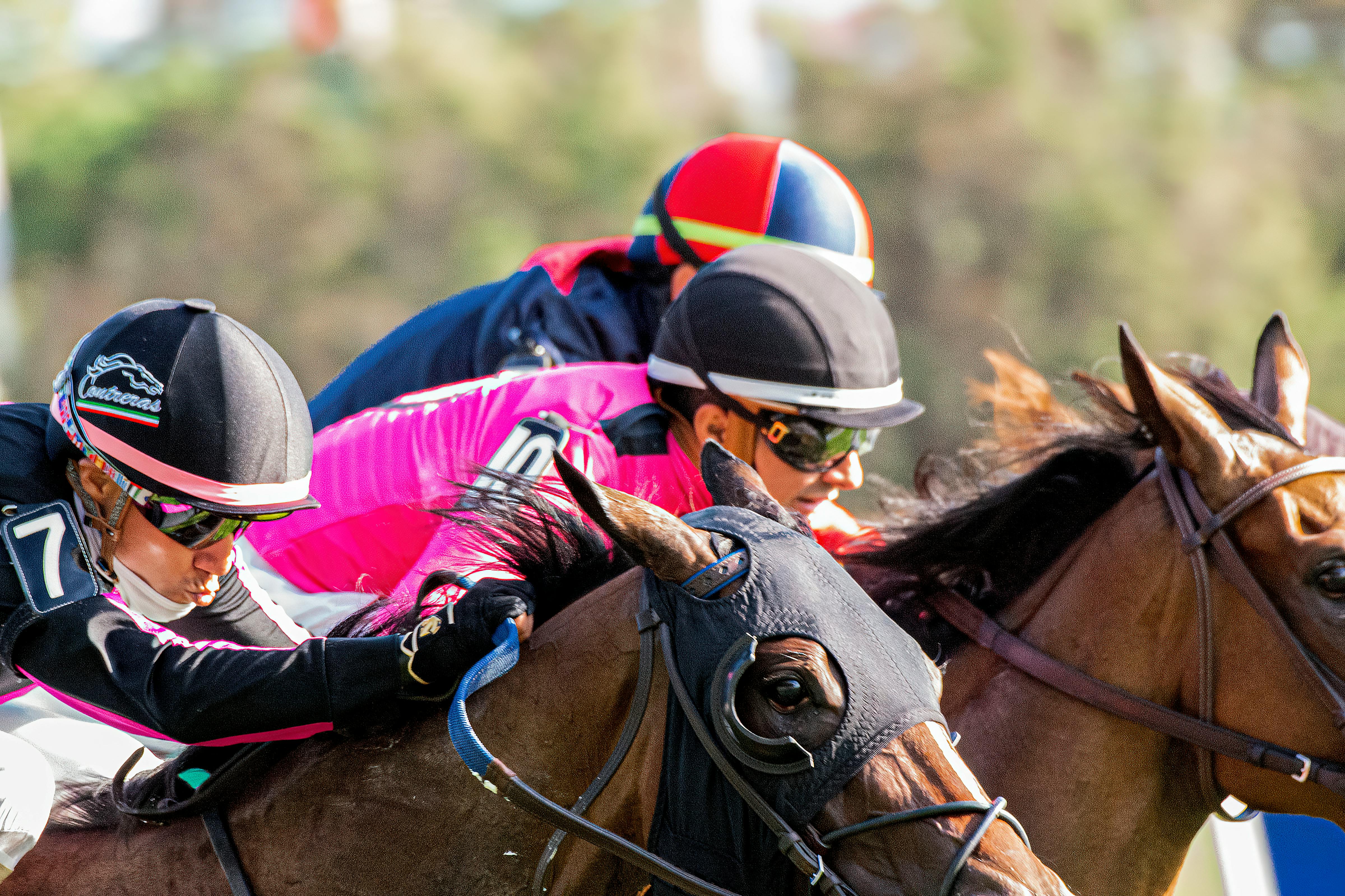 Preakness Stakes vs European Classics: Key Differences in Race Dynamics