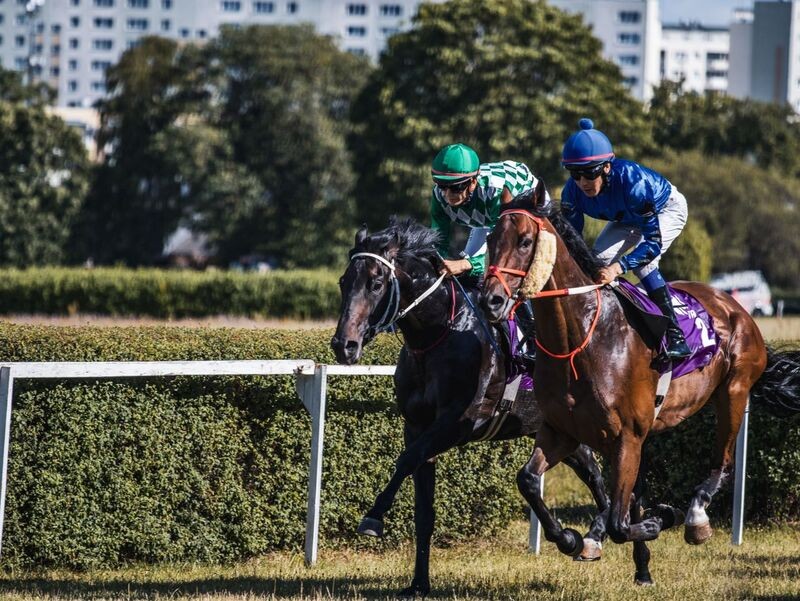 As Horse Racing Popularity Returns to Pre-2020 Levels, Platforms Beyond the Tracks Get Involved