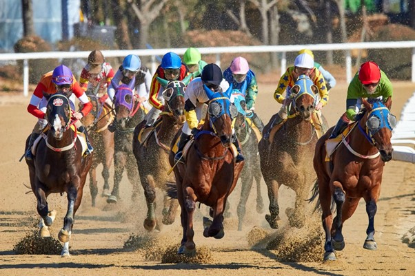 Remembering some of the best flat races in history