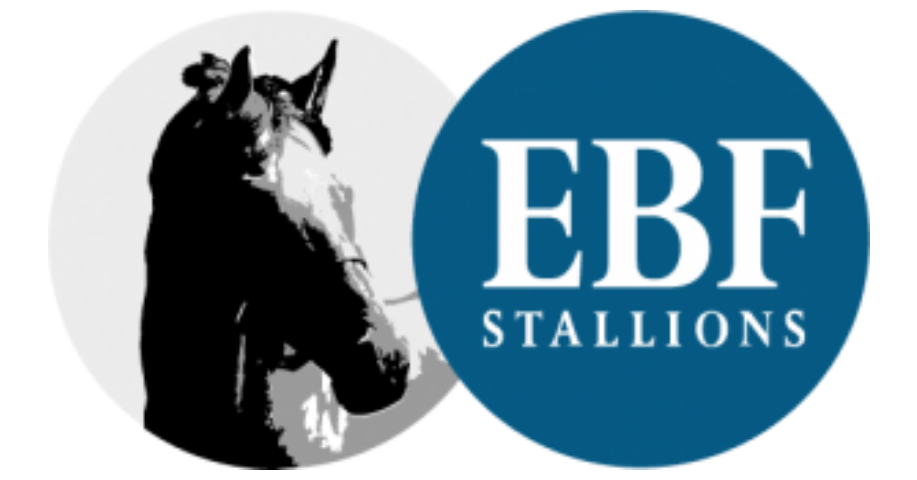 EBF Stallions