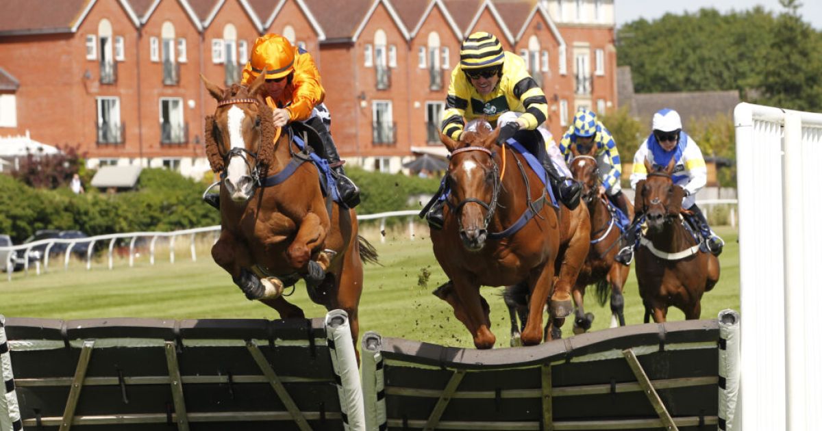 Stratford Races New Year's resolution: Buy a racehorse | Stratford Racecourse