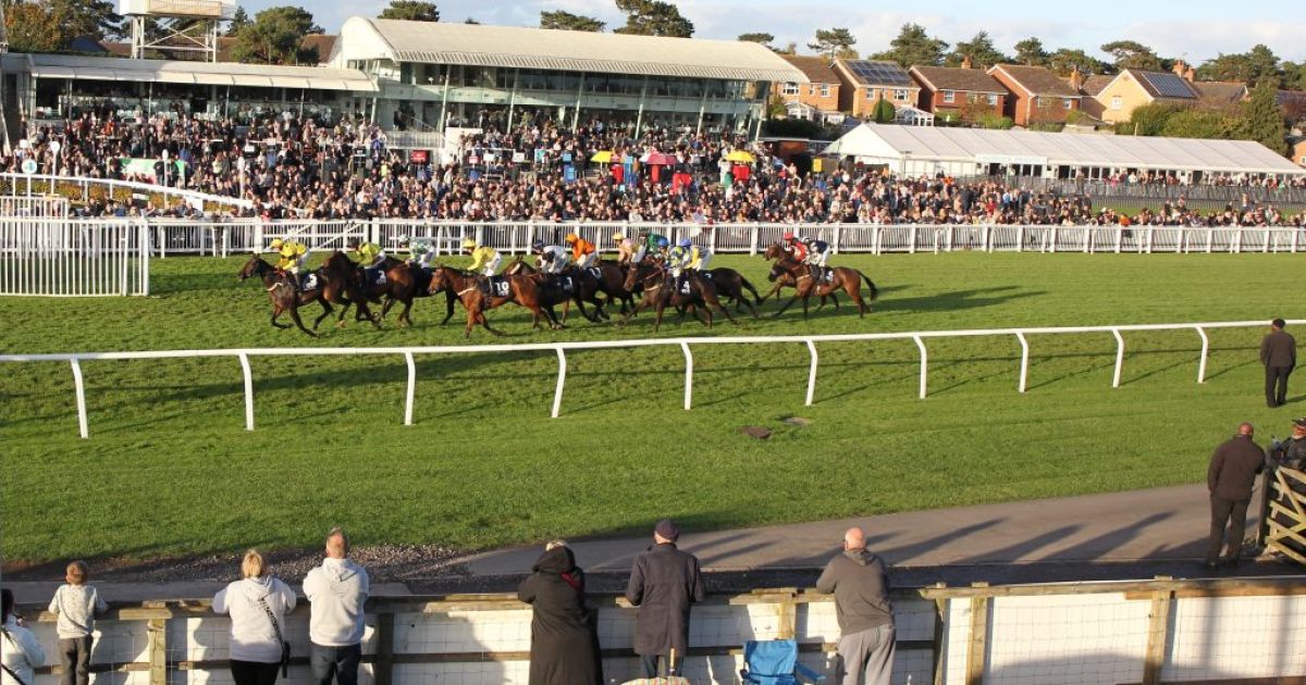 Stratford Races Gender equality at Stratford as honours are shared evenly | Stratford ...