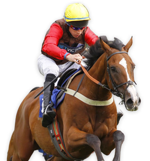 stratford horse racing betting guide