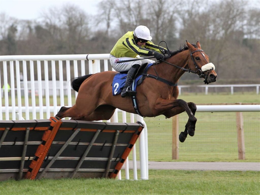 Stepney Causeway helps Harry Skelton to win his first Jockeys' title in March 2021